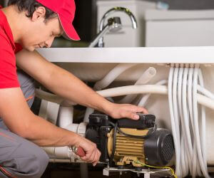 About Root Free Pipes Charlotte - tree root removal sewer line experts in Charlotte