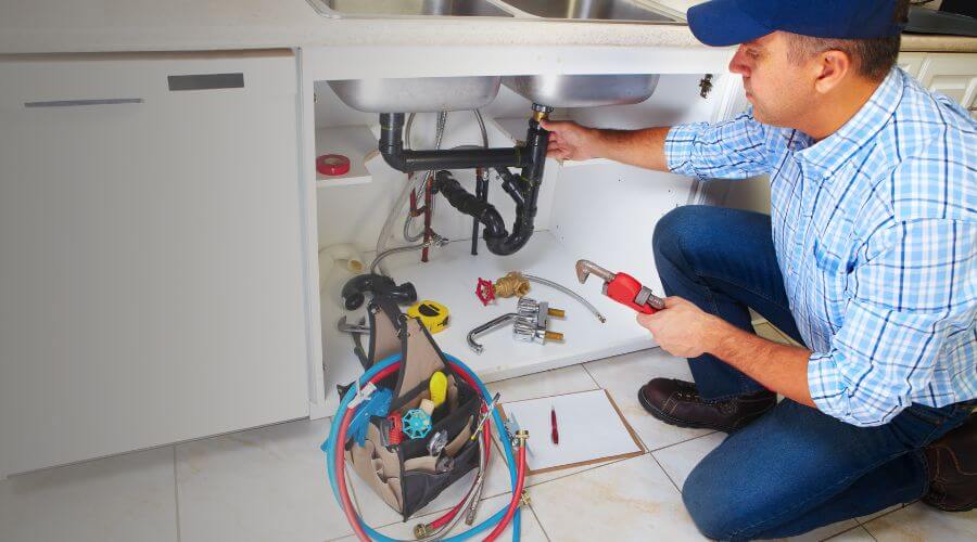 Professional tree root removal sewer line services in Charlotte